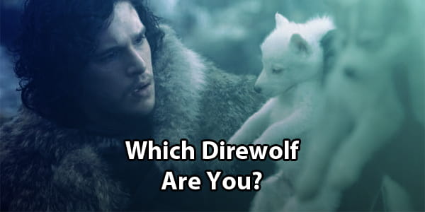 Which Game Of Thrones Direwolf Are You?