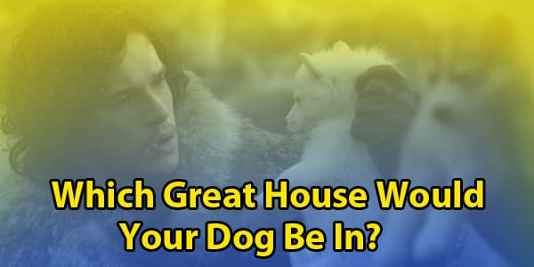Game Of Thrones Dog Quiz